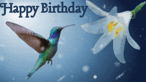 Animated Hummingbird Gif Images - Mk 