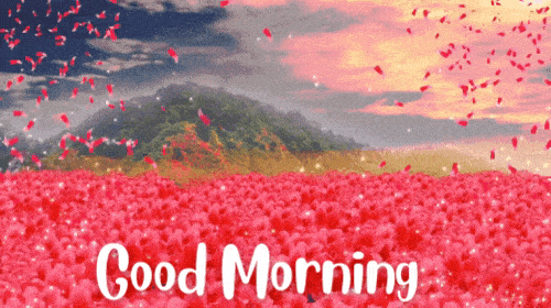 Good Morning Flowers GIF For My Love Good Morning Flowers GIF For Her Good Morning Flowers GIF 