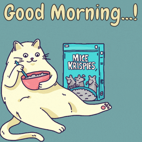 Best Good Morning Cat GIF Images - Mk GIFs.com
