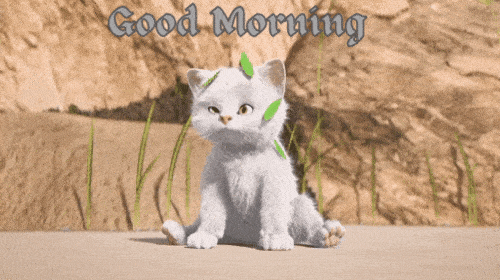 Good Morning Cat GIF
