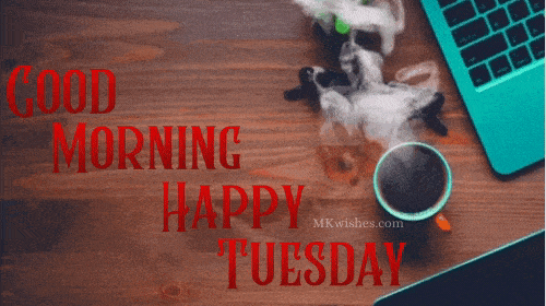 Best Good Morning Tuesday GIF Images - Mk 