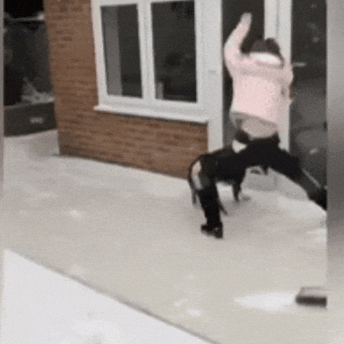 Slip and Fall GIFs