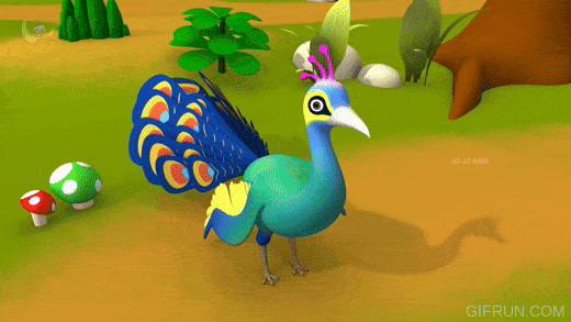 Peacock GIF