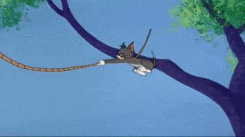Tom and Jerry GIFs