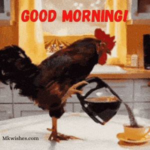 Good Morning Coffee GIF Funny