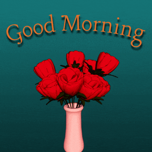 Good Morning Rose GIF