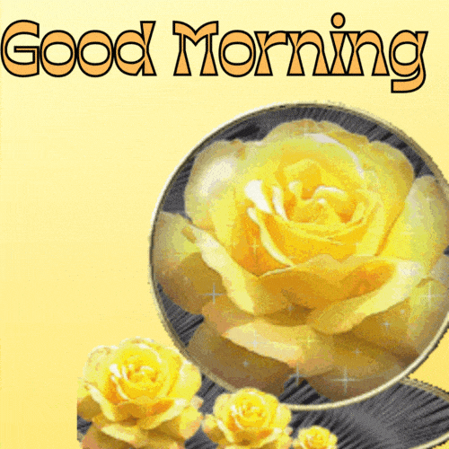 Beautiful Good Morning Rose GIF Images - Mk 
