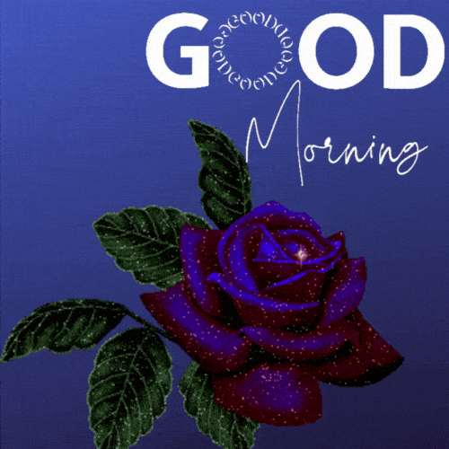 Good Morning Rose GIF