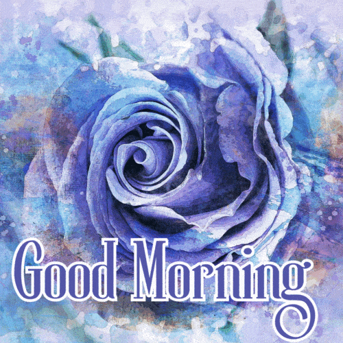 Good morning Flowers GIF