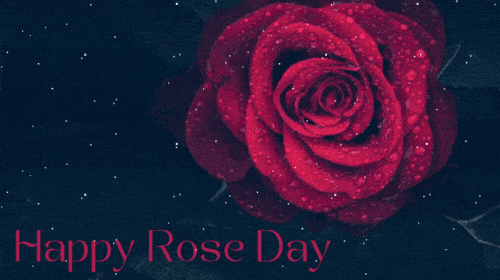 Happy Rose Day GIF