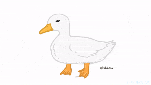 Duck GIF