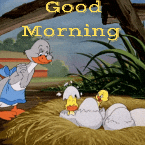Hilarious Good Morning GIF Funny Images HD Downloads - Mk GIFs.com