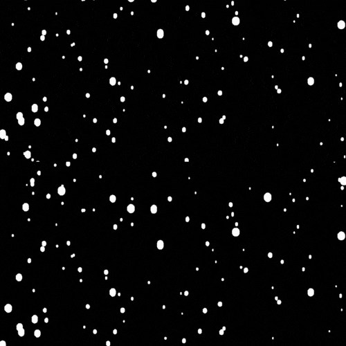 Snow falling gif transparent background