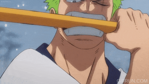 One Piece Zoro GIF