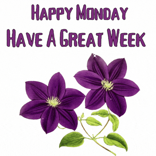 Have A Great Week GIF