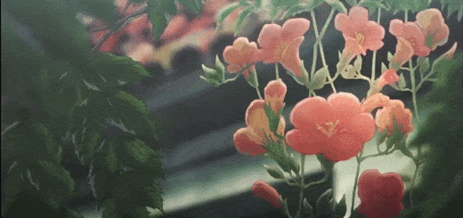 Flower Anime GIF