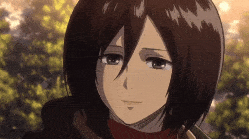 Mikasa Ackerman GIF