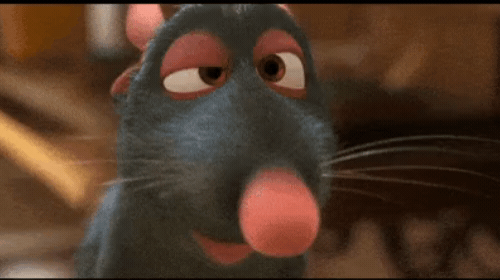 Remy The Rat GIF